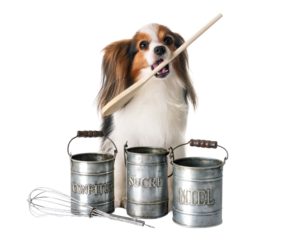small dog surrounded by baking tools